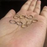 Titanium stone nose ring