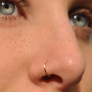 Fake nose ring