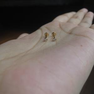 Dainty stone studs