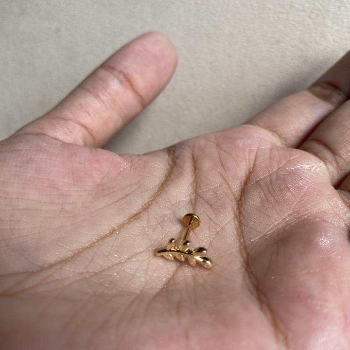 Six leaf studs