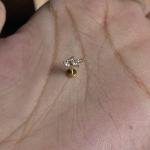 Leaf studs