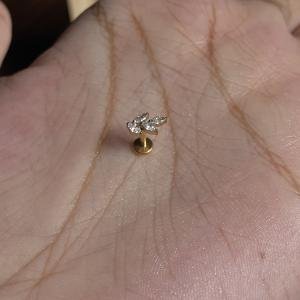 Leaf studs