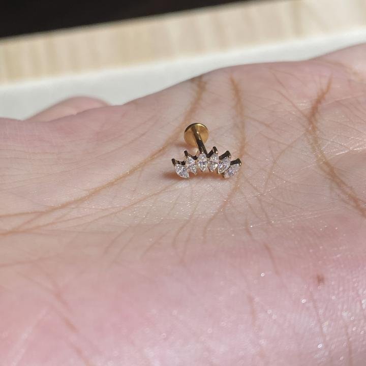 Leaf upper helix studs