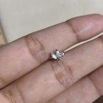 Ivory studs