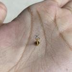 Liliy flower studs