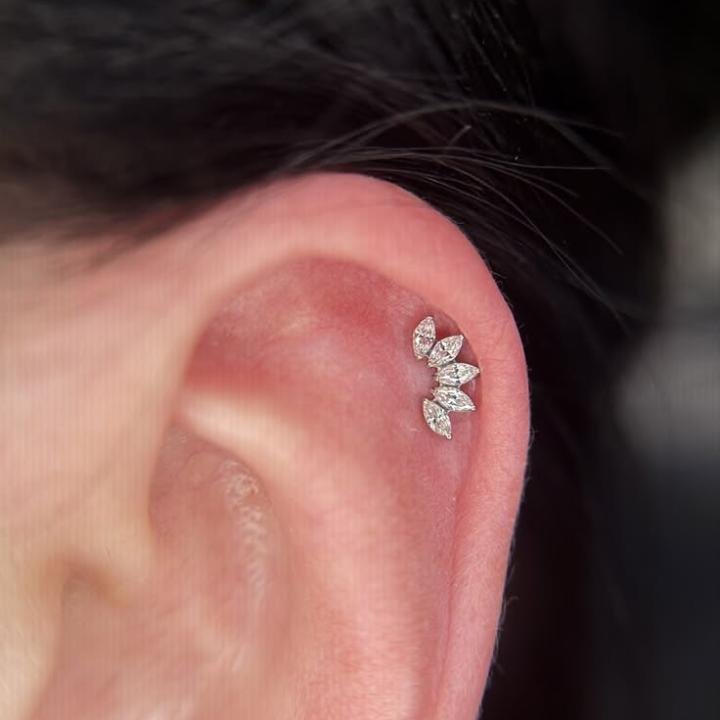 helix studs